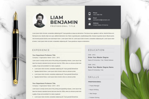 Download Curriculum Vitae / CV Template - Premium Bundle